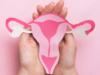 The Vital Role of Fallopian Tubes in the Journey to Conception