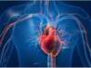 “Synchronized Heartbeats: The Correlation Between Shared Hearts and Matching Blood Pressure Levels”