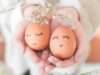 Obesity Affects Egg Quality: What Can Be Done?