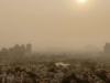 Understanding The Global Impact Of Air Pollution On Pregnancy